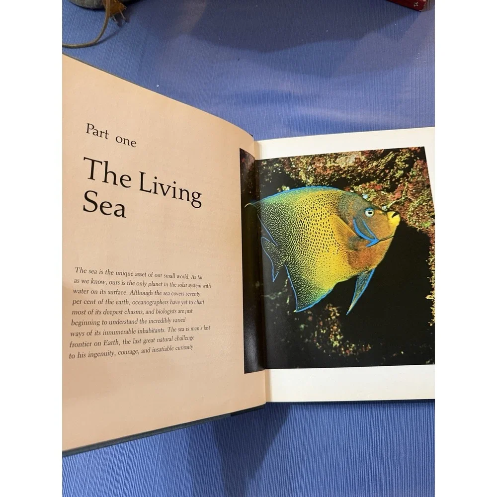 Secrets of the Seas Hardcover Nature Nonfiction Ocean‎ Life Amos Cromie